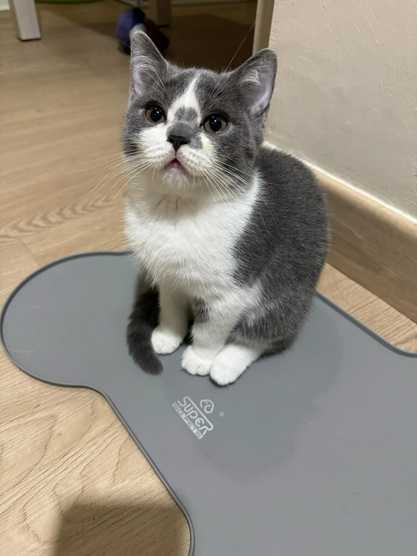 Steven with Banjo